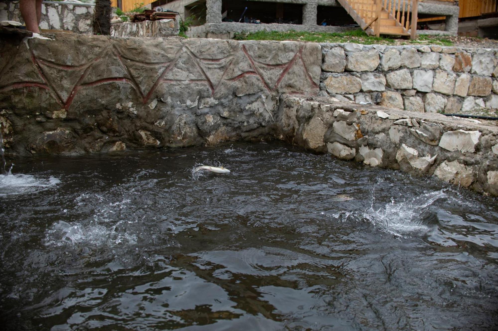 Gordela Hotel Gordi Екстериор снимка